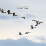 Florida estate planning for snowbirds