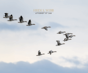 Florida estate planning for snowbirds